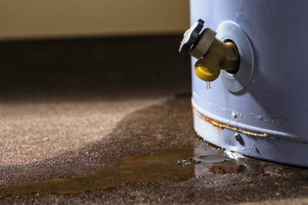 Best Flood damage cleanup  in Watkinsville, GA