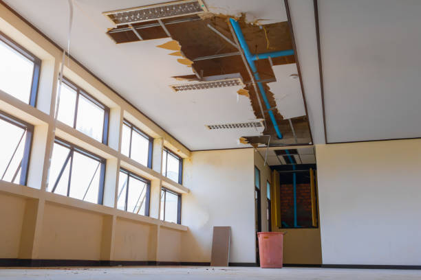 Best Local water damage restoration  in Watkinsville, GA