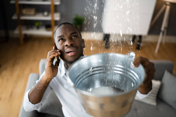 Best Mold removal after water damage  in Watkinsville, GA