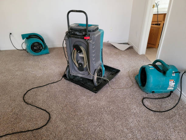 Best Fire Damage Restoration  in Watkinsville, GA