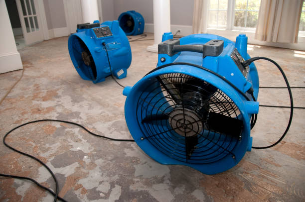 Best Water damage repair service  in Watkinsville, GA