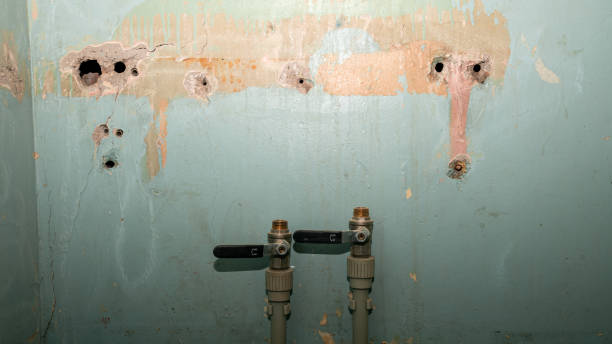 Best Commercial water damage restoration  in Watkinsville, GA
