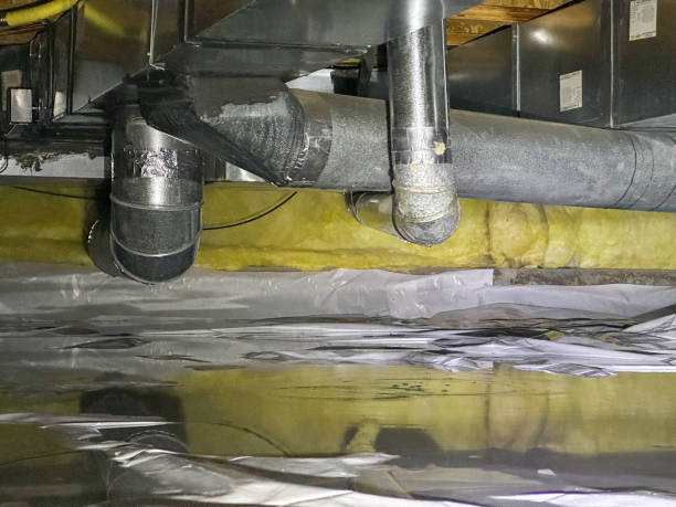 Best Professional water damage repair  in Watkinsville, GA