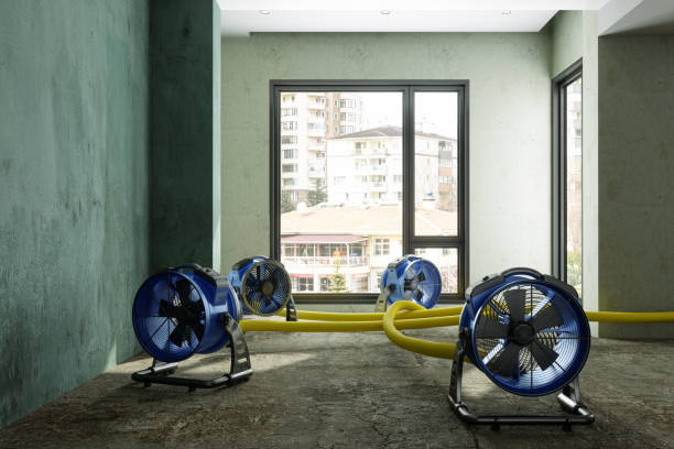 Best Professional water damage repair  in Watkinsville, GA